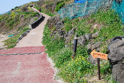 서우봉