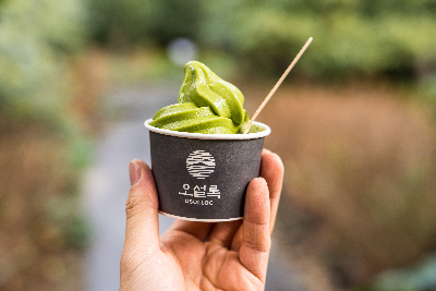 오설록 티 뮤지엄 : osulloc Tea museum 제주를 대표하는 녹차밭