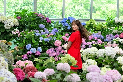 카멜리아힐 : Camellia Hill 사계절 내내 아름다운 꽃의 향연을 만날 수 있는 제주 최대 동백 수목원