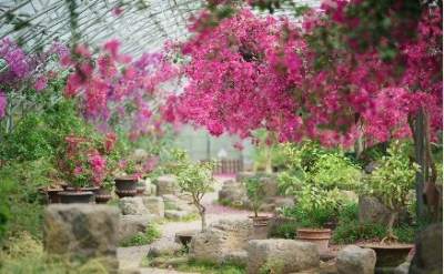 한림공원