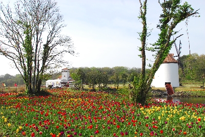 에코랜드 : Eco land 제주 곶자왈 체험 테마파크
