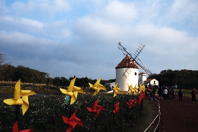 에코랜드 : Eco land 제주 곶자왈 체험 테마파크