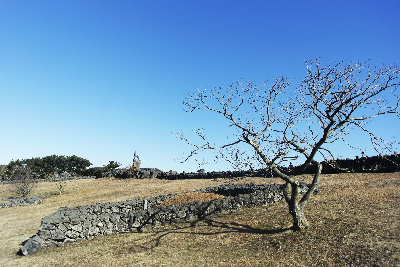 산굼부리 : Sangumburi 천연 그대로 간직한 큰 구멍인 '산굼부리'
