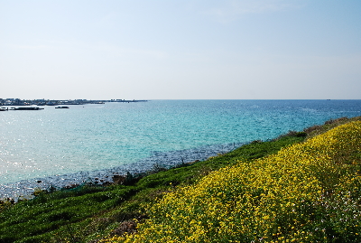 서우봉