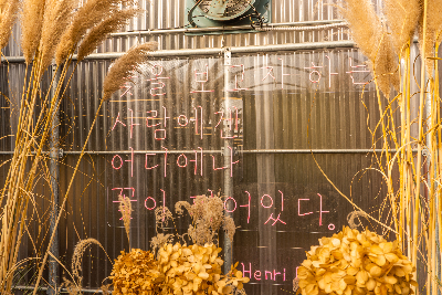 카멜리아힐 : Camellia Hill 사계절 내내 아름다운 꽃의 향연을 만날 수 있는 제주 최대 동백 수목원