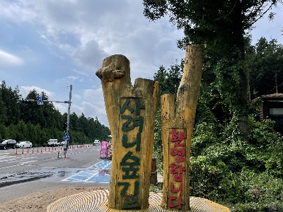 사려니숲길