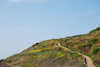 서우봉