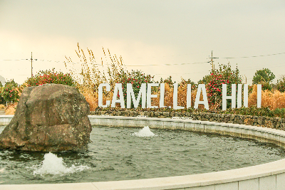 카멜리아힐 : Camellia Hill 사계절 내내 아름다운 꽃의 향연을 만날 수 있는 제주 최대 동백 수목원