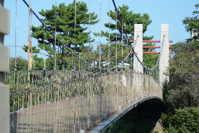 용연 구름다리 : 제주 자연의 아름다움과 은은함을 느낄 수 있는 도심공원