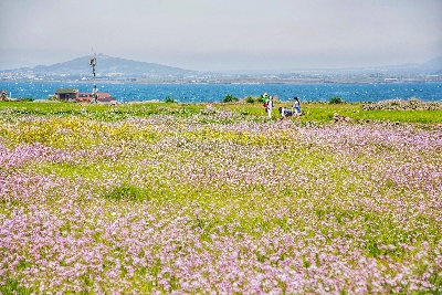 가파도 : 제주도 부속 섬 중 4번째로 큰 가오리를 닮은 섬