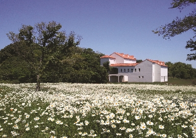 에코랜드 : Eco land 제주 곶자왈 체험 테마파크