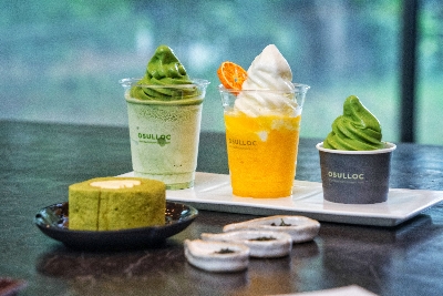 오설록 티 뮤지엄 : osulloc Tea museum 제주를 대표하는 녹차밭