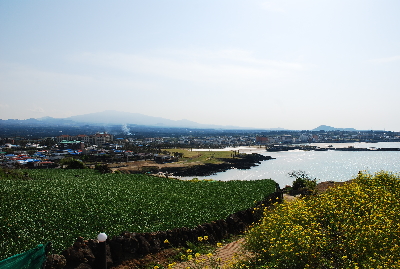 서우봉