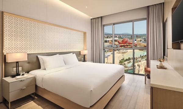 슈페리어 킹/트윈